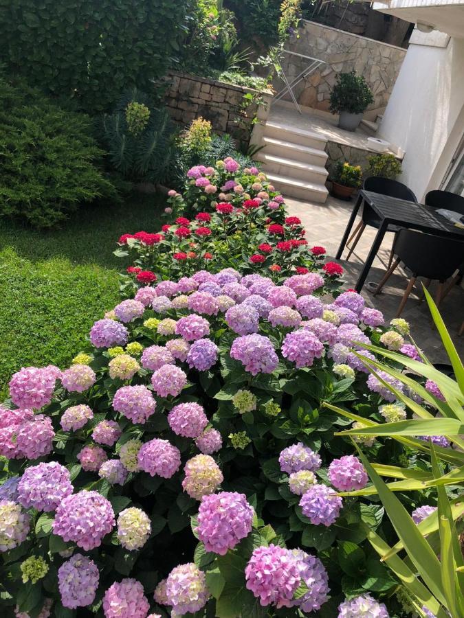 Apartament Tianri Korčula Zewnętrze zdjęcie