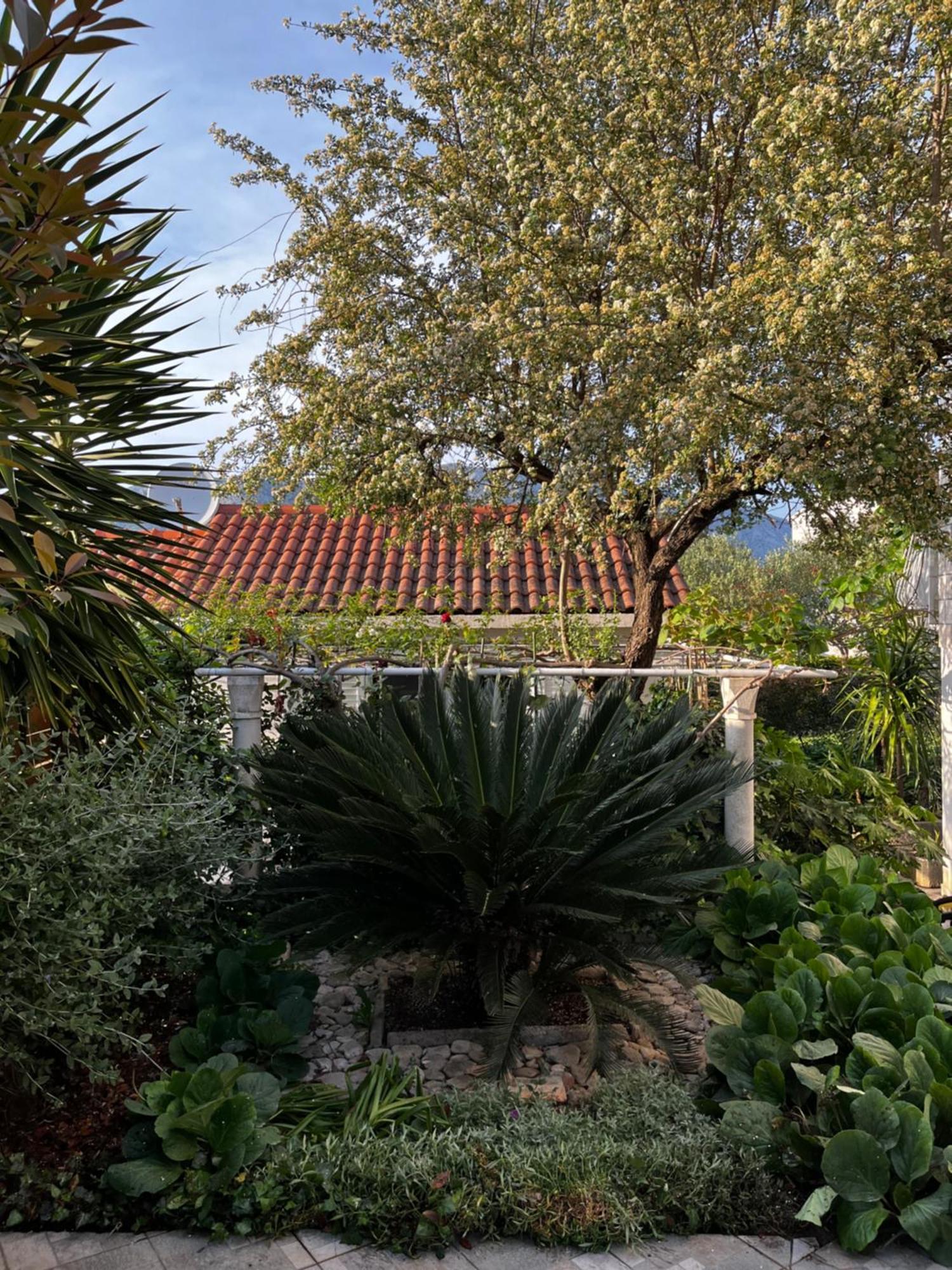 Apartament Tianri Korčula Zewnętrze zdjęcie