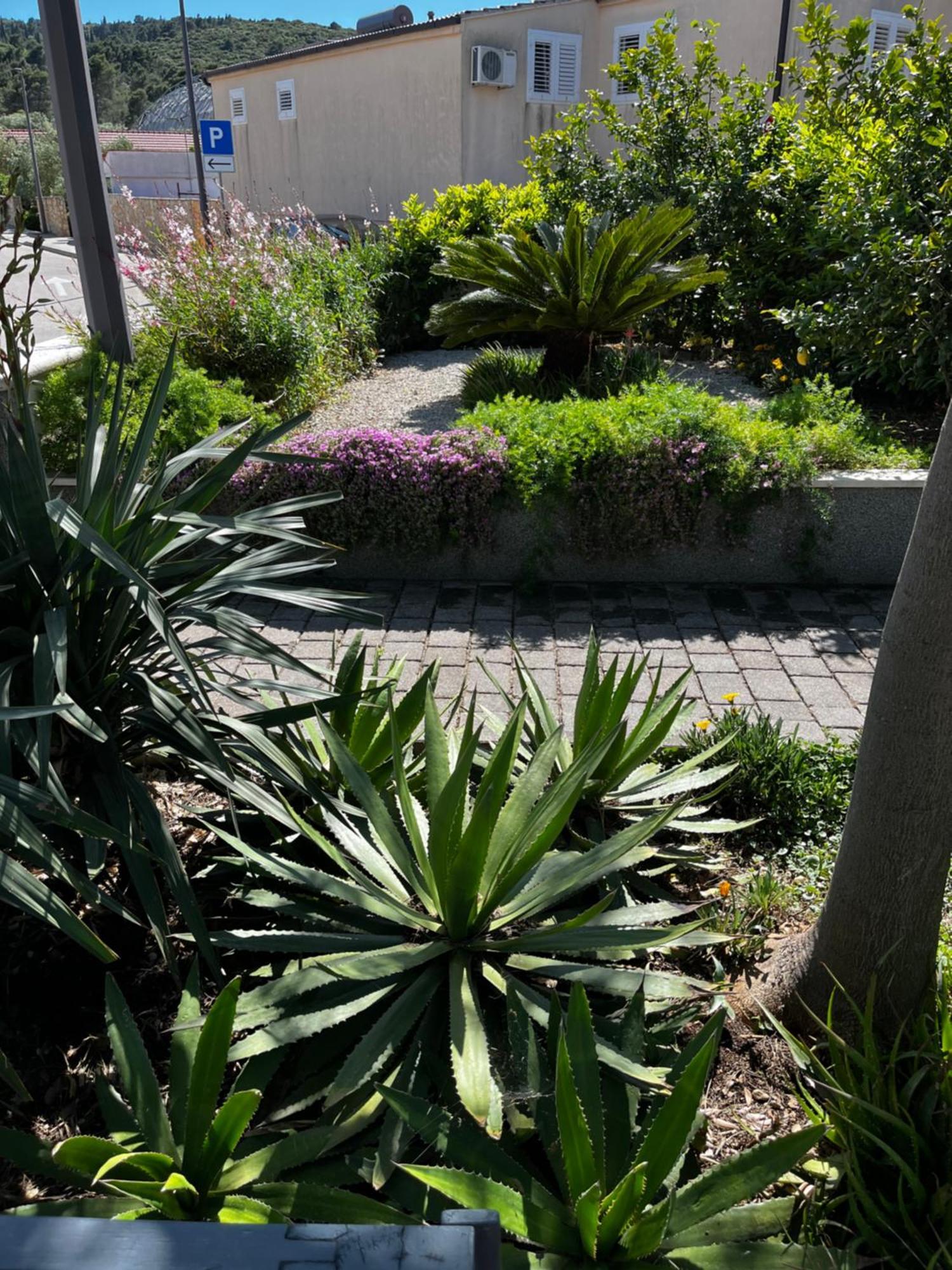 Apartament Tianri Korčula Zewnętrze zdjęcie